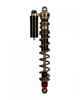 Dual Rate Springs / Triple Adjustment Piggback